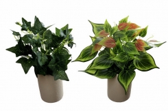 041 veštačke lozice